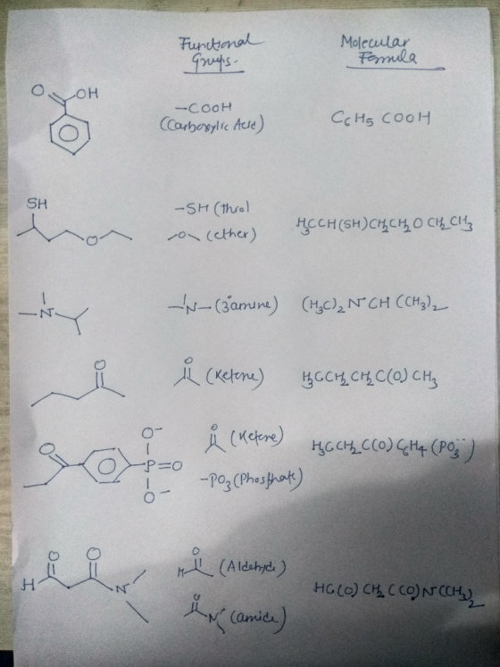 Functional Grups- Molecular Farmila Олон -COOH (Carboxylic Acid) CC Hg cooH SH - SH (thiol o cether) HCCH (SH)CH CHO CHL CHH