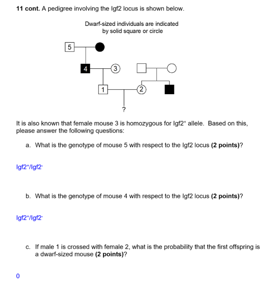 11 cont. A pedigree involving the Igf2 locus is shown below. Dwarf-sized individuals are indicated by solid square or circle 4 3 2 It is also known that female mouse 3 is homozygous for lgf2* allele. Based on this, please answer the following questions: a. What is the genotype of mouse 5 with respect to the lgf2 locus (2 points)? Igf2*/lgf2 b. What is the genotype of mouse 4 with respect to the lgf2 locus (2 points)? If male 1 is crossed with female 2, what is the probability that the first offspring is a dwarf-sized mouse (2 points)? c. 0
