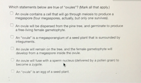 Which statements below are true of ovules? (Mark all that apply.) □ An ovule contains a cell that will go through meiosis to produce a megaspore (four megaspores, actually, but only one survives). a free-living female gametophyte. Anovule is a megasporangium of a seed plant that is surrounded by An ovule will be dispersed from the pine tree, and germinate to produce integuments. develop from a megaspore inside the ovule. become a zygote. An ovule will remain on the tree, and the female gametophyte will An ovule will fuse with a sperm nucleus (delivered by a pollen grain) to An ovule is an egg of a seed plant.