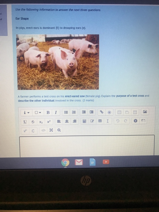 Use the following information to answer the next three questions Ear Shape In pigs, erect-ears is dominant (E) to drooping-ea