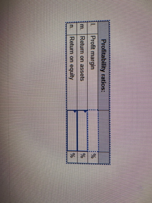 Profitability ratios: Profit margin Return on assets Return on equity LLLLLLLLLLLLLLLLLLLLLL