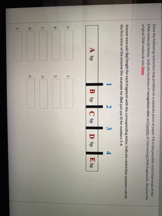 Solve the following restriction map problem on a separate piece of paper. Fill in the possible restriction map of the DNA mol