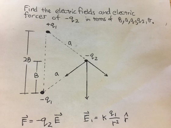 Find the electric fields and electric forcer of-g2 in termsof BMqJA2,o; 2 2D 9, 2