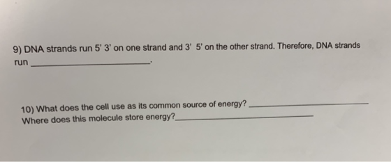 9) DNA strands run 53 on one strand and 3 5 on the other strand. Therefore, DNA strands run 10) What does the cell use as