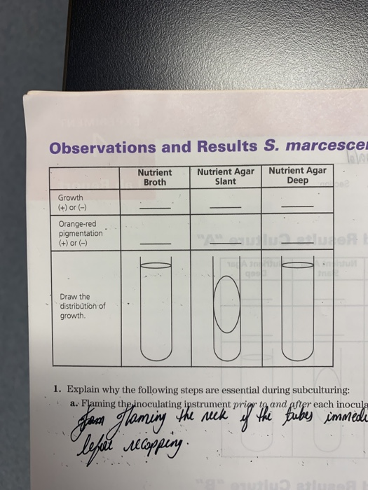 Observations and Results S. marcesce Nutrient Broth Nutrient Agar Slant Nutrient Agar Deep Growth (+) or (-) Orange-red pigme