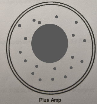 Plus Amp