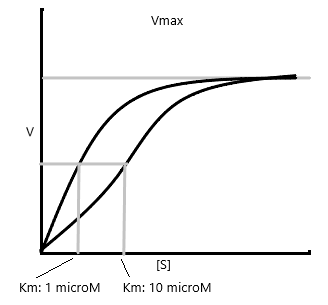 Vmax V [S] Km: 10 microM Km: 1 microM
