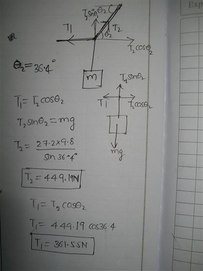 uploaded image