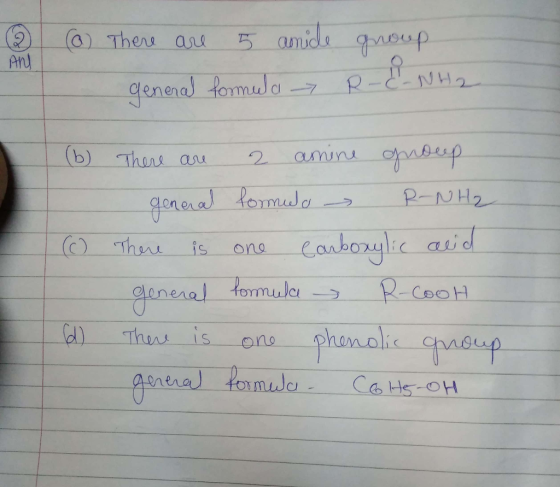 ene NHA L-y b) Thurs asu oneal lomu P-NH2 C) Thou is on a