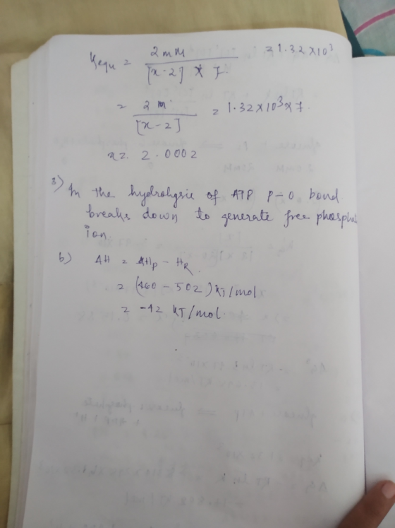 2mm 31.3.2.8103 Yequ? Tx-27 X 7. 2 1:32X10377 - 12-2 a 2. 2.0002 1 3) In the hydrolysie of ATP P-0 bond. breaks down to gener