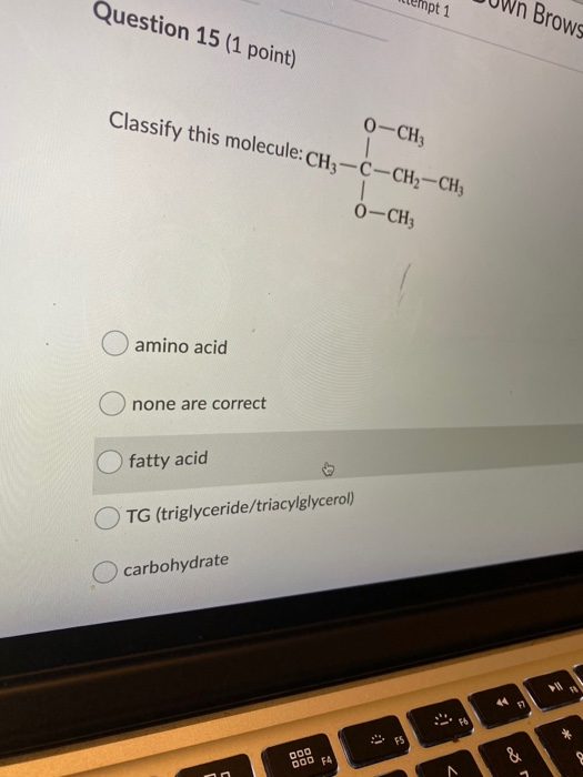 Question 15 (1 point) npt 1 Brows 0-CH3 Classify this molecule: CH3-C-CH2 ---CHz 0-CH3 amino acid none are correct fatty acid