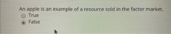 An apple is an example of a resource sold in the factor market. True False