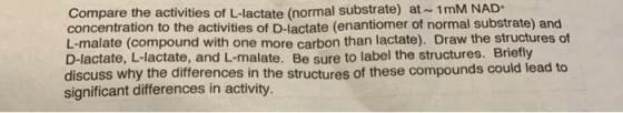 Compare the activities of L-lactate (normal substrate) at - 1mM NAD concentration to the activities of D-lactate (enantiomer