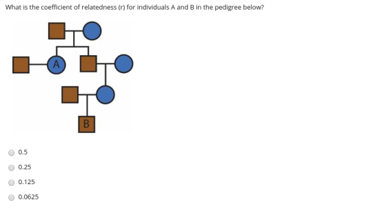 What is the coefficient of relatedness (r) for individuals A and B in the pedigree below? 0.5 0.25 0.125 0.0625