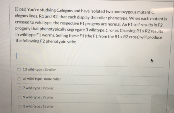 (3 pts) Youre studying C.elegans and have isolated two homozygous mutant C. elegans lines, R1 and R2, that each display the