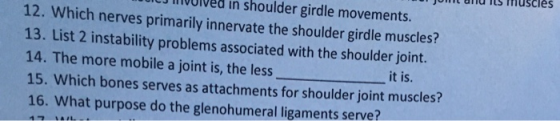 t und ILS Tiuscles h its Jlved in shoulder girdle movements. 12. Which nerves primarily innervate the shoulder girdle muscles? 13. List 2 instability problems associated with the shoulder joint. 14. The more mobile a joint is, the less 15. Which bones serves as attachments for shoulder joint muscles? 16. What purpose do the glenohumeral ligaments serve it is.