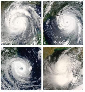 Hurricanes