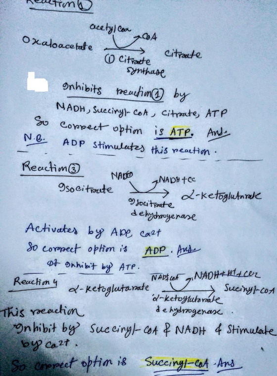 Reaction 704 acetyl coa Oxaloacetate citroute O Citroute synthase Inhibits reaction by MADH, succiny -cot, citrate, ATP So co