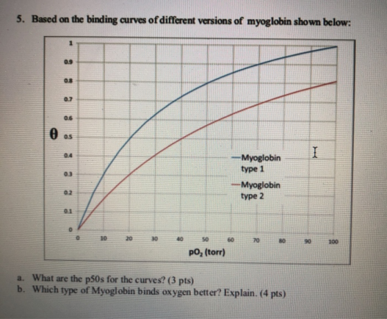 5. Based on the binding curves of different versions of myoglobin shown below: -Myoglobin type 1 -Myoglobin type 2 20 30 40 7