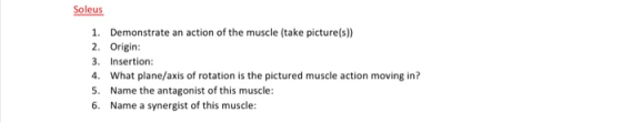Soleus 1. Demonstrate an action of the muscle (take picture(s)) 2. Origin: 3. Insertion: 4. What plane/axis of rotation is th