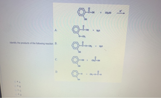 Identify the products of the following reaction. B.
