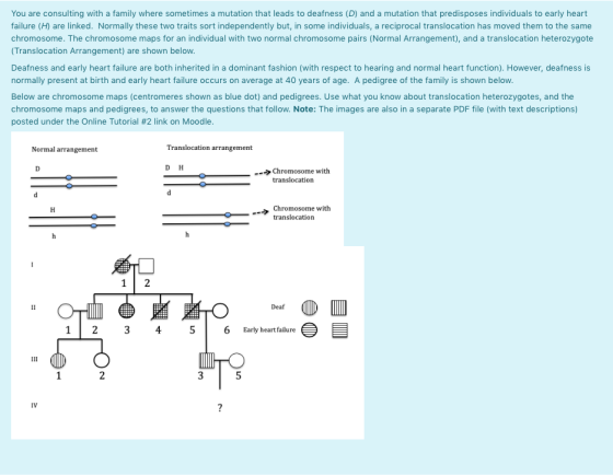 You are consulting with a family where sometimes a mutation that leads to deafness (D) and a mutation that predisposes indivi