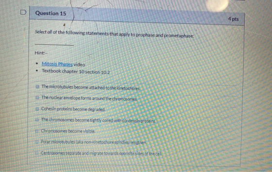 D Question 15 4 pts AD Select all of the fdllowing statements that apply to prophase and prometaphase: Hint:- • Mitosis Phase