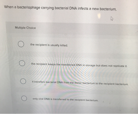 When a bacteriophage carrying bacterial DNA infects a new bacterium, Multiple Choice the recipient is usually killed. the rec