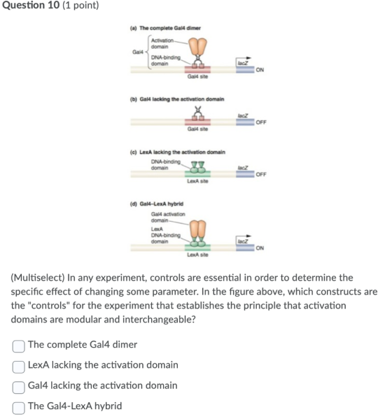 Question 10 (1 point) (a) The complete Gal4 dimer Activation domain Gal4 DNA-binding domain lacz ON Gal4 site (b) Gal4 lackin