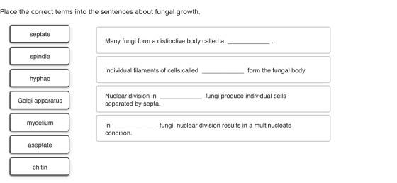 Place the correct terms into the sentences about fungal growth. septate Many fungi form a distinctive body called a spindle I
