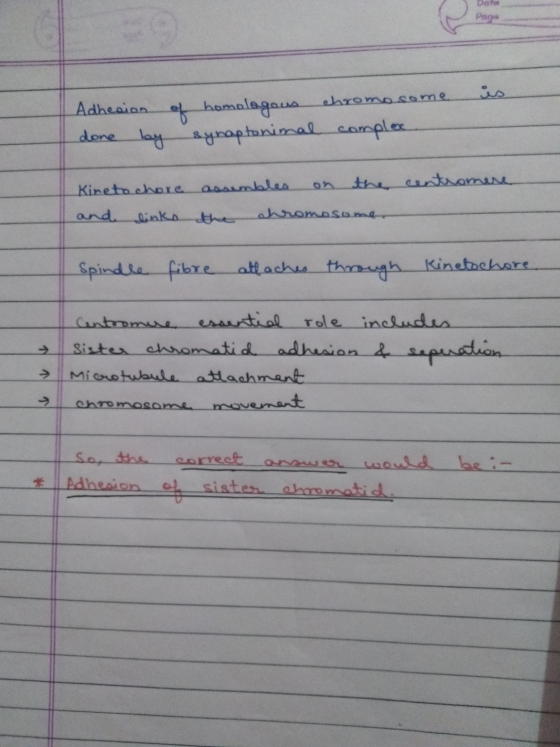 Date Page is Adhesion done by of homologous chromosome synaptonimal complex centromere Kineto chore and links assembles on th