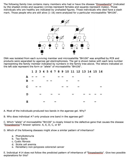 The following family tree contains many members who had or have the disease Emseebeeitis (indicated by the shaded circles a