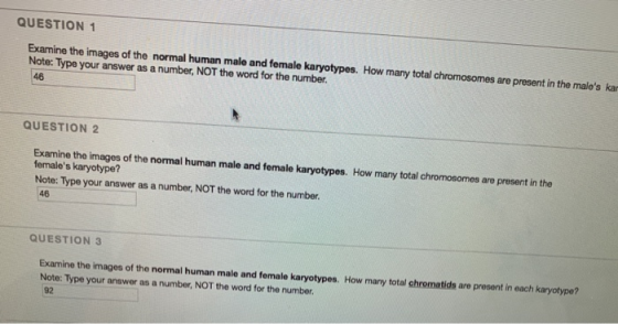 QUESTION 1 Examine the images of the normal human male and female karyotypes. How many total chromosomes are present in the m