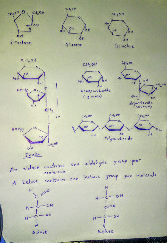 CH₂OH GoHo, CH₂OH CH₂OH OH OH 애 애 Fructose OM Glucose Galactose сH, он CH₂OH CH₂OH -O Кен / Hoy MOV OH Ho CHUH KOH br он mon