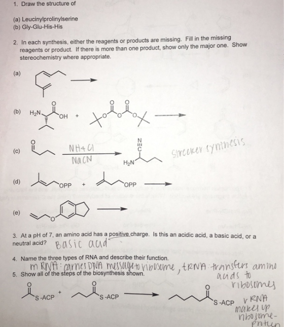 1. Draw the structure of (a) Leucinylprolinylserine (b) Gly-Glu-His-His In each synthesis, either the reagents or products are missing. Fill in the missing reagents or product. If there is more than one product, show only the major one. Show stereochemistry where appropriate. (b) H2N NACN H2N OPP 3. At a pH of 7, an amino acid has a positive charge. Is this an acidic acid, a basic acid, or a neutral acid?Basic aud 4. Name the three types of RNA and describe their function. bosume,tenn wanskut amini o rbosumuy 5. Show all of the steps of the biosynthesis shown S-ACP S -ACP ntun