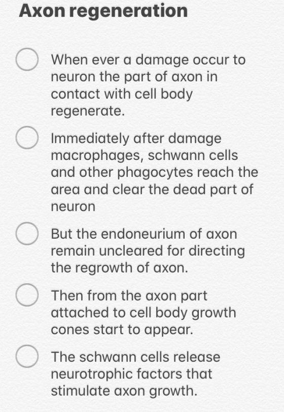 Axon regeneration When ever a damage occur to neuron the part of axon in contact with cell body regenerate. Immediately after