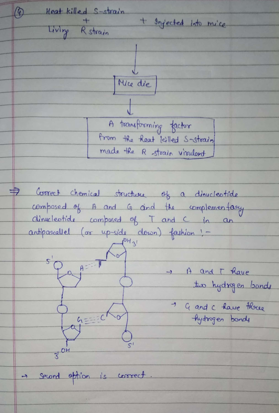 5 Heat killed s-strain. + Injected into mice Living R strain Mice die A tocans forming factor from the heat killed S-strain m