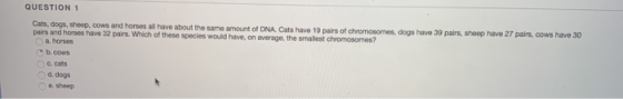 QUESTION 1 Cats, dogs, sheep, cows and horses all have about the same amount of DNA. Cats have 10 pairs of chromosomes, dogs