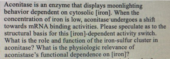 Aconitase is an enzyme that displays moonlighting behavior dependent on cytosolic [iron]. When the concentration of iron is l