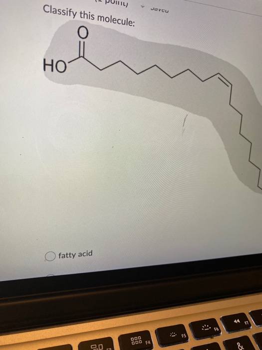 Classify this molecule: Javcu O НО fatty acid 44 DOD 000 F4