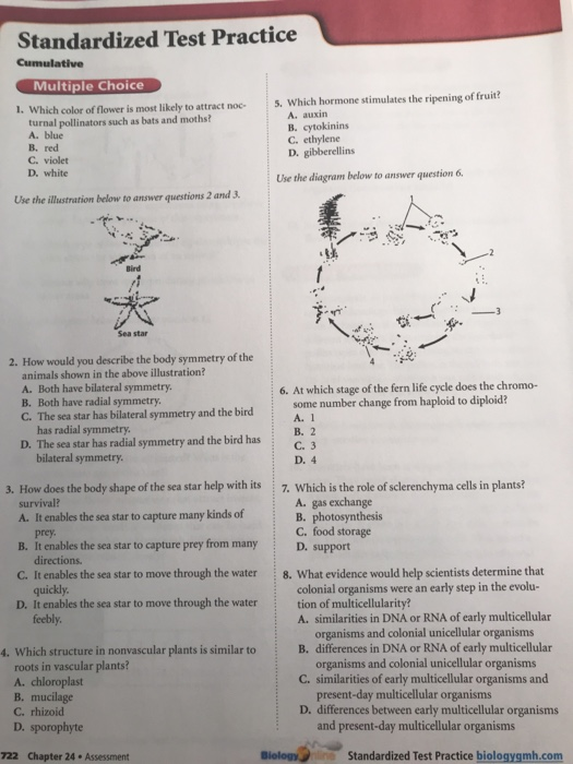 Standardized Test Practice Cumulative Multiple Choice 1. Which color of flower is most likely to attract noc 5. Which hormone