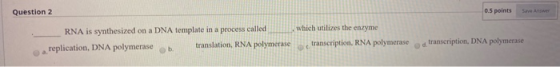Question 2 0.5 points Save RNA is synthesized on a DNA template in a process called replication, DNA polymerase translation,