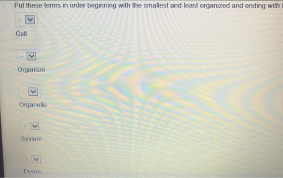 Put these terms in order beginning with the smallest and least organized and ending with Cell Organism Organelle System ΤιςςΙ