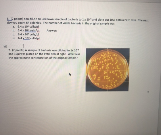 6. (2 points) You dilute an unknown sample of bacteria to 1x 10- and plate out 10ul onto a Petri dish. The next day you count