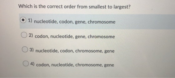 Which is the correct order from smallest to largest? 1) nucleotide, codon, gene, chromosome O2) codon, nucleotide, gene, chro