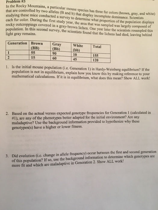 Problem #3 the Rocky Mountains, a particular mouse species has three fur colors (brown, gray, and white t are controlled by two alleles (B and b) that display incomplete dominance. Scientists tha studying each fur rocky outcroppings covered in a gray-brown lichen. One year later the scientists resampled this these mice conducted a survey to determine what proportion of the population disp color. During the first study year, the arca that was sam lays pled was largely composed of population. In this second survey, the scientists found that the lichens had died, leaving behind light gray remains Generation Brown Gra White Total Bb 90 60 10 45 155 120 15 1. Is the initial mouse population (i.e. Generation 1) in Hardy-Weinberg equilibrium? If the population is not in equilibrium, explain how you kmow this by making reference to your mathematical calculations. If it is in equilibrium, what does this mean? Show ALL work! Based on the actual versus expected genotype frequencies for Generation 1 (calculated in #1), are any of the phenotypes better adapted for the initial environment? Are any maladaptive? Use the background information provided to hypothesize why these genotypes(s) have a higher or lower fitness. 2. of this population? If so, use the background information to determine which genotypes ane more fit and which are maladaptive in Generation 2. Show ALL work! 3. Did evolution (i.c. change in allele frequency) occur between the first and second gencration