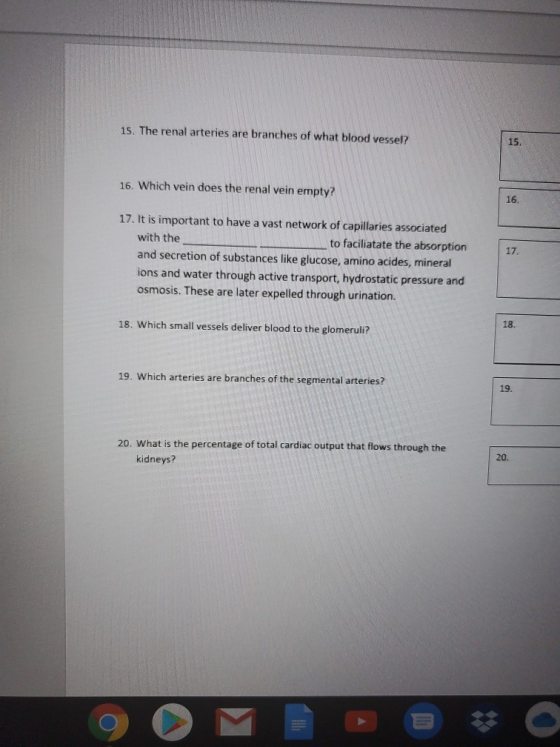 15. The renal arteries are branches of what blood vessel? 16. Which vein does the renal vein empty? 17. It is important to ha