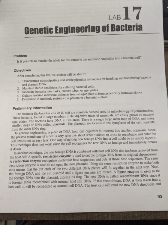 LAB Genetic Engineering of Bacteria Problem Is it possible to transfer the allele for resistance to the antibiotic ampicillin