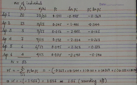o ot individuals (n) Date: lapi Pi lmpi 20/s3 20 .371 0.36 -0.935 sp 2 13 13/3 -1.406 -0.344 0.245 -0-161 -2.882 0.0S6 4 -0.2