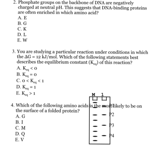 2. Phosphate groups on the backbone of DNA are negatively charged at neutral pH. This suggests that DNA-binding proteins are